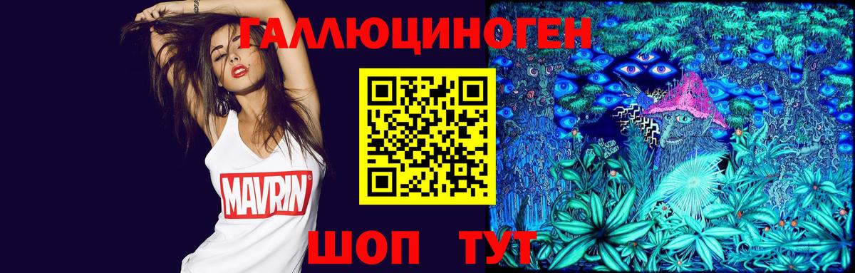 даркнет сайт  Галлюциногенные грибы GOLDEN TEACHER  Новоуральск  Вход с VPN  Псилоцибиновые грибы ЛСД 