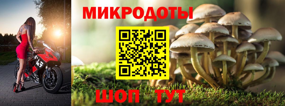 Галлюциногенные грибы мицелий Новоуральск